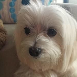 Meet your Posher, Jill